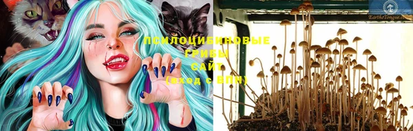 мяу мяу мука Верея