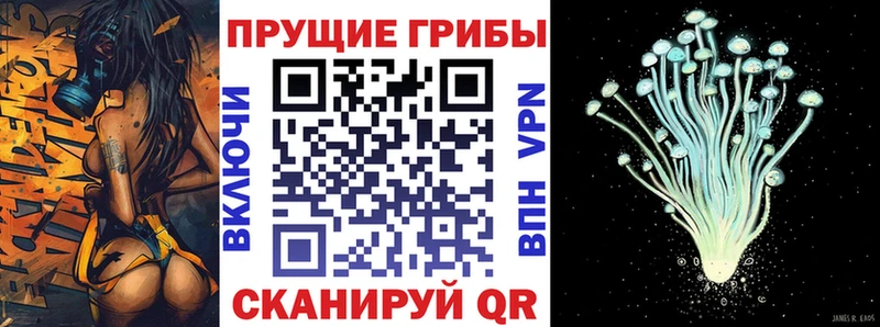 Псилоцибиновые грибы Magic Shrooms  купить наркотики сайты  площадка клад  Власиха 